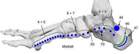 nerverefleksologi